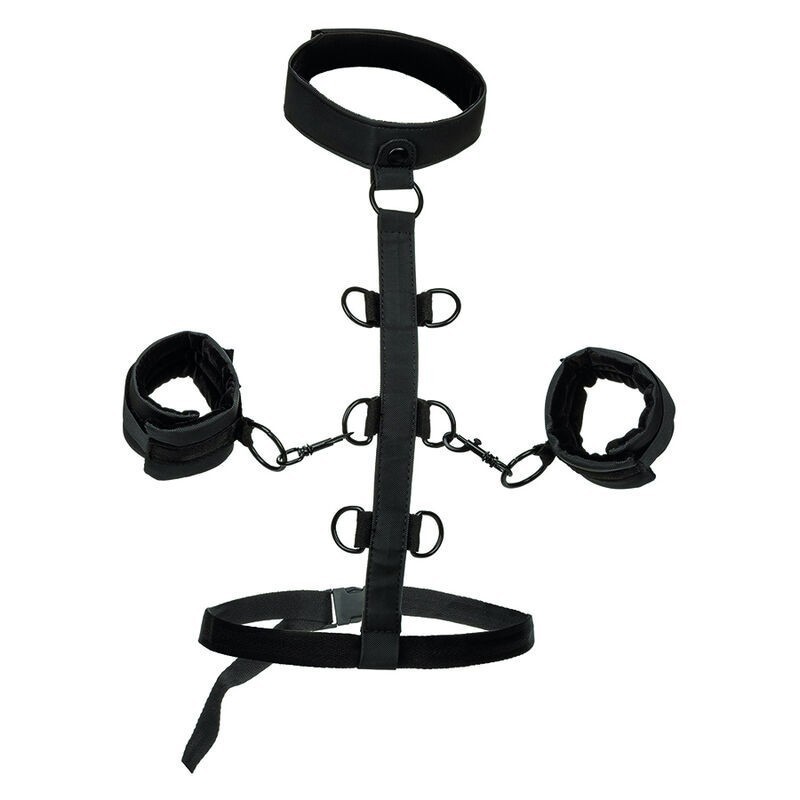 CALEXOTICS - BOUNDLESS COLLIER DE RETENUE CALEXOTICS - BOUNDLESS COLLIER DE RETENUE