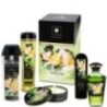 Shunga Jardins d’Edo – Kit Massage Bio – Cadeau Sensuel