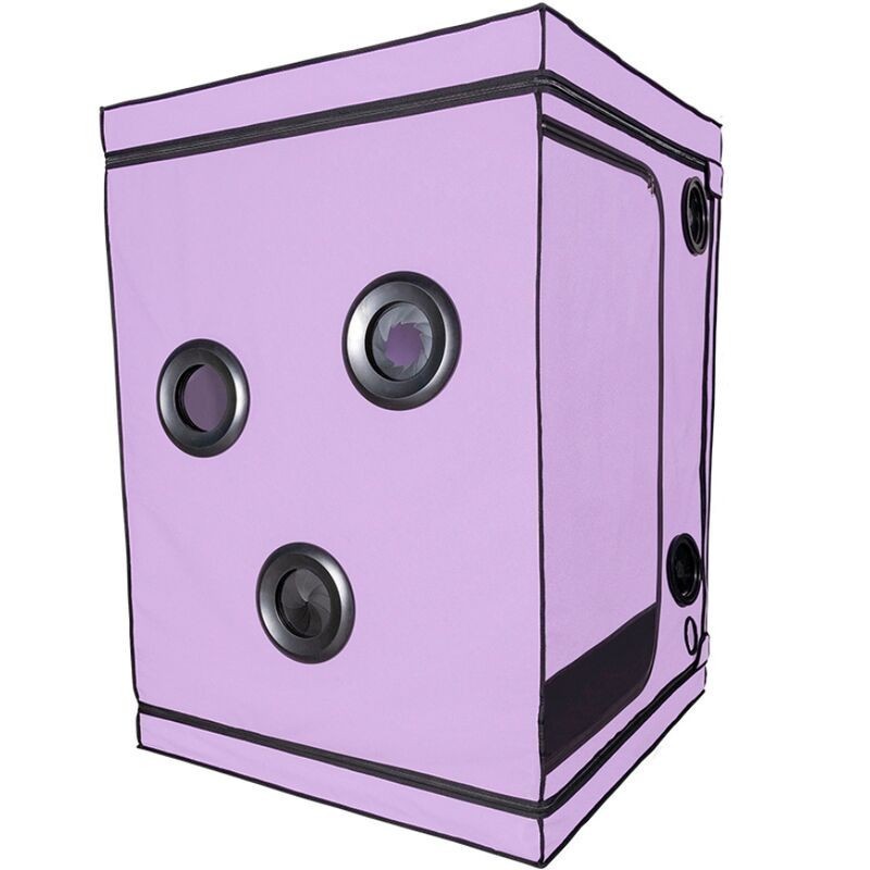 SECRET DOME - KINK CLUB CABINE SCANDALE PURPLE SECRET DOME - KINK CLUB CABINE SCANDALE PURPLE