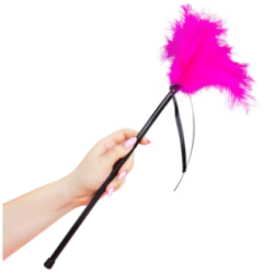 SECRETPLAY - PLUMES  40 CM