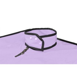 SECRET DOME - KINK CLUB LA NICHE CABINE VIOLET