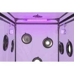 SECRET DOME - KINK CLUB CABINE SCANDALE PURPLE
