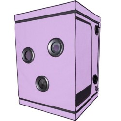 KINK CLUB CABINE SCANDALE PURPLE