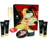 Kit Secret Geisha Fraises & Cava – Shunga – Cadeau Coquin