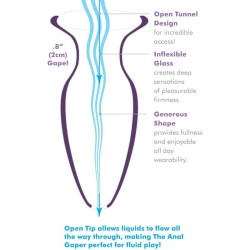 Dilatateur Anal Débutant Cristal – Fantasy Elite Collection