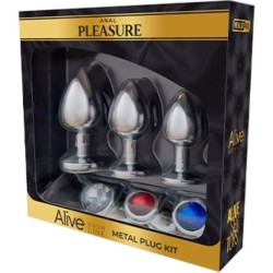 KIT DE PLAISIR ANAL 3 PLUG MÉTAL