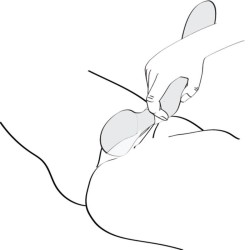 Vibromasseur Wand  Zoa