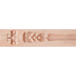 Masturbateur Vagin Stoya Destroya