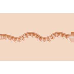 Masturbateur  anus serré Maitland Ward