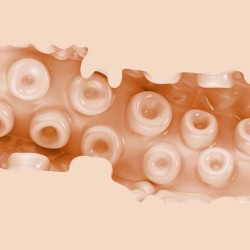 Masturbateur vagin  Sasha Nakamoto