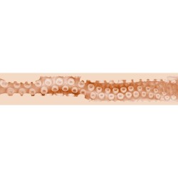 Masturbateur vagin  Sasha Nakamoto