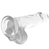 X RAY - HARNAIS + BITE TRANSPARENT AVEC BILLES 15.5 CM -O- 3.5 CM