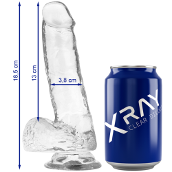 X RAY - HARNAIS + BITE TRANSPARENT AVEC BILLES 18.5 CM -O- 3.8 CM