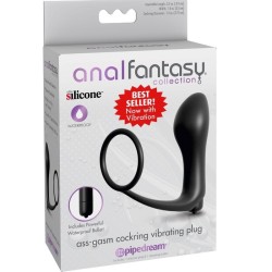 PLUG VIBRATEUR ASS-GASM COCKRING