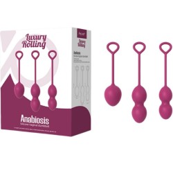 ANABIOSIS HALTÈRE VAGINALE 3 NIVEAUX BOURGOGNE