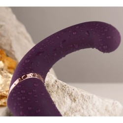 GEMINI DOUBLE VIBRATEUR STIMULATEUR DE CLITORIS POINT G