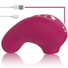 STIMULATEUR DE CLITORIS DE POCHE SHUSHU PRO 2