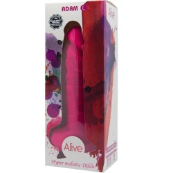 ADAM L PÉNIS RÉALISTE FUCHSIA 19 CM