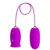 Oeuf vibrant rechargeable Daisy Dual Egg