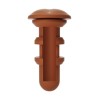 AI ANUS SLEEVE MARRON