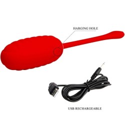 Oeuf vibrant  rechargeable Kirk