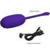 Oeuf vibrant  rechargeable Kirk
