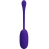 Oeuf vibrant  rechargeable Kirk