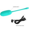 Oeuf vibrant  rechargeable Kirk