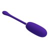 Oeuf vibrant imperméable rechargeable Julius