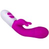 VIBRATEUR HAPPY & STIMULATEUR DE LAPIN VIOLET