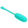 Oeuf vibrant imperméable rechargeable Julius