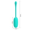 Oeuf vibrant imperméable rechargeable Julius
