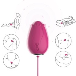 VIBRATEUR MANDALA EGG TÉLÉCOMMANDE G-SPOT FUCHSIA