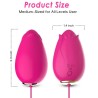 VIBRATEUR MANDALA EGG TÉLÉCOMMANDE G-SPOT FUCHSIA