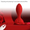 VIBRATEUR ROSE & PLUG ANAL PETITE TÉLÉCOMMANDE ROUGE