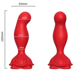 VIBRATEUR ROSE & PLUG ANAL TÉLÉCOMMANDE ROUGE