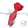 VIBRATEUR ROSE & PLUG ANAL TÉLÉCOMMANDE ROUGE
