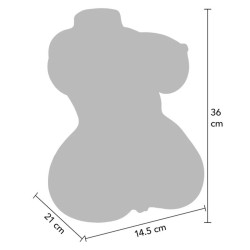 MASTURBATEUR VAGIN ET ANUS JUICY DOUBLE D 5 KG