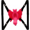 HARNAIS PAPILLON VIBRANT ULTRA PASSIONN?