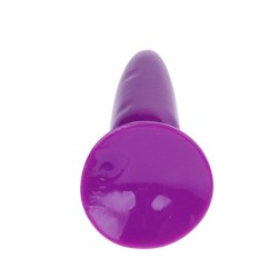 PETIT PLUG ANAL LILAS 15 CM