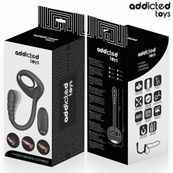 ANNEAU PÉNITENTIAIRE VIBRANT POUR POINT P AVEC TÉLÉCOMMANDE