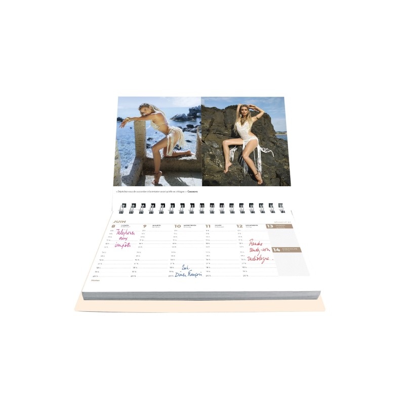 AGENDA-CALENDRIER 2026 CLARA MORGANE : Calendrier élégant pour votre année
