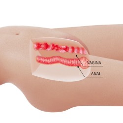 MIA TORSE FÉMININ RÉALISTE VAGIN ET ANAL