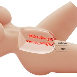 TORSE FÉMININ RÉALISTE LILY VAGIN ET ANAL
