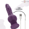 VIBRATEUR MULTIFONCTION TATUM AVEC VIBRATION DE HAUT EN BAS 24 CM VIOLET