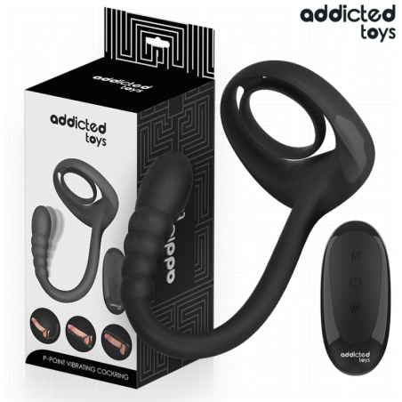 ANNEAU PÉNITENTIAIRE VIBRANT POUR POINT P AVEC TÉLÉCOMMANDE