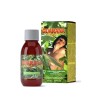 GUARANA ZN SPECIAL 100 ML