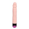 Colorful Sex Experience, vibromasseur réaliste rotatif 24cm