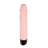 Colorful Sex Experience, vibromasseur réaliste rotatif 24cm