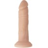 TORSE MASCULIN RÉALISTE APOLLO L